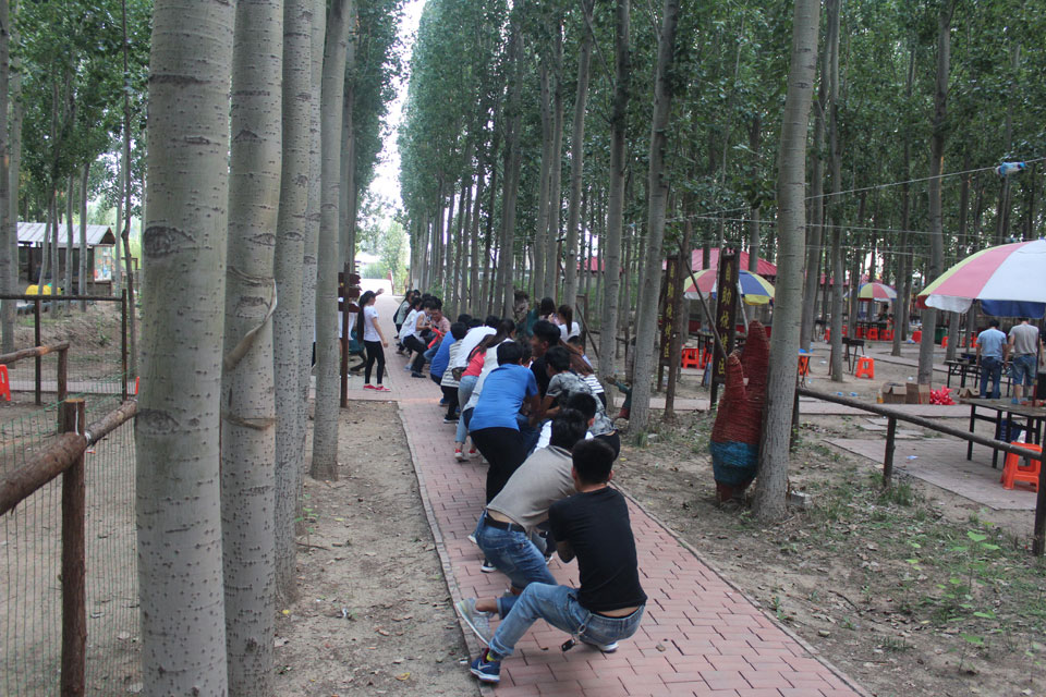 1528698970161743.jpg 1.jpg