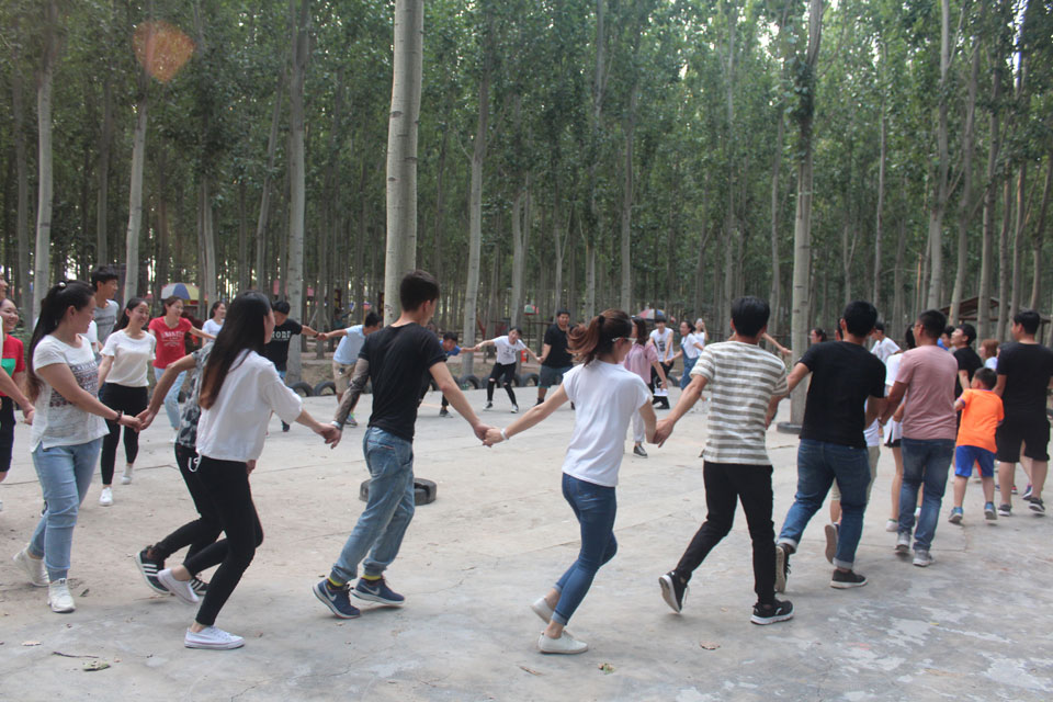 1528698988337387.jpg 1.jpg