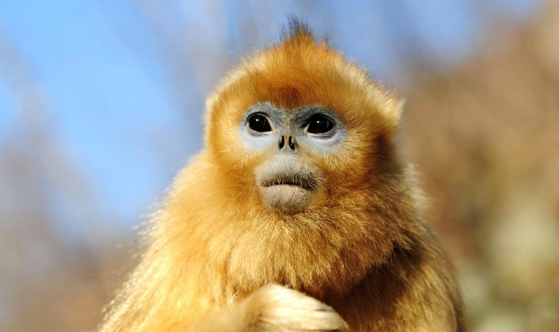 1539415201531680.jpg 0u2yOI.jpg