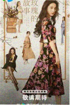 《蓝狐档案》